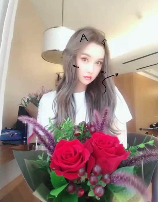 芝加哥大学生伴游